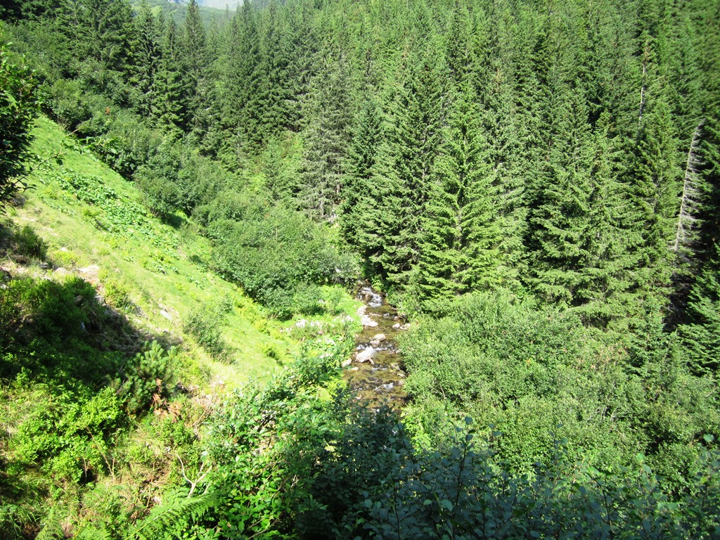 IMG_8432.JPG