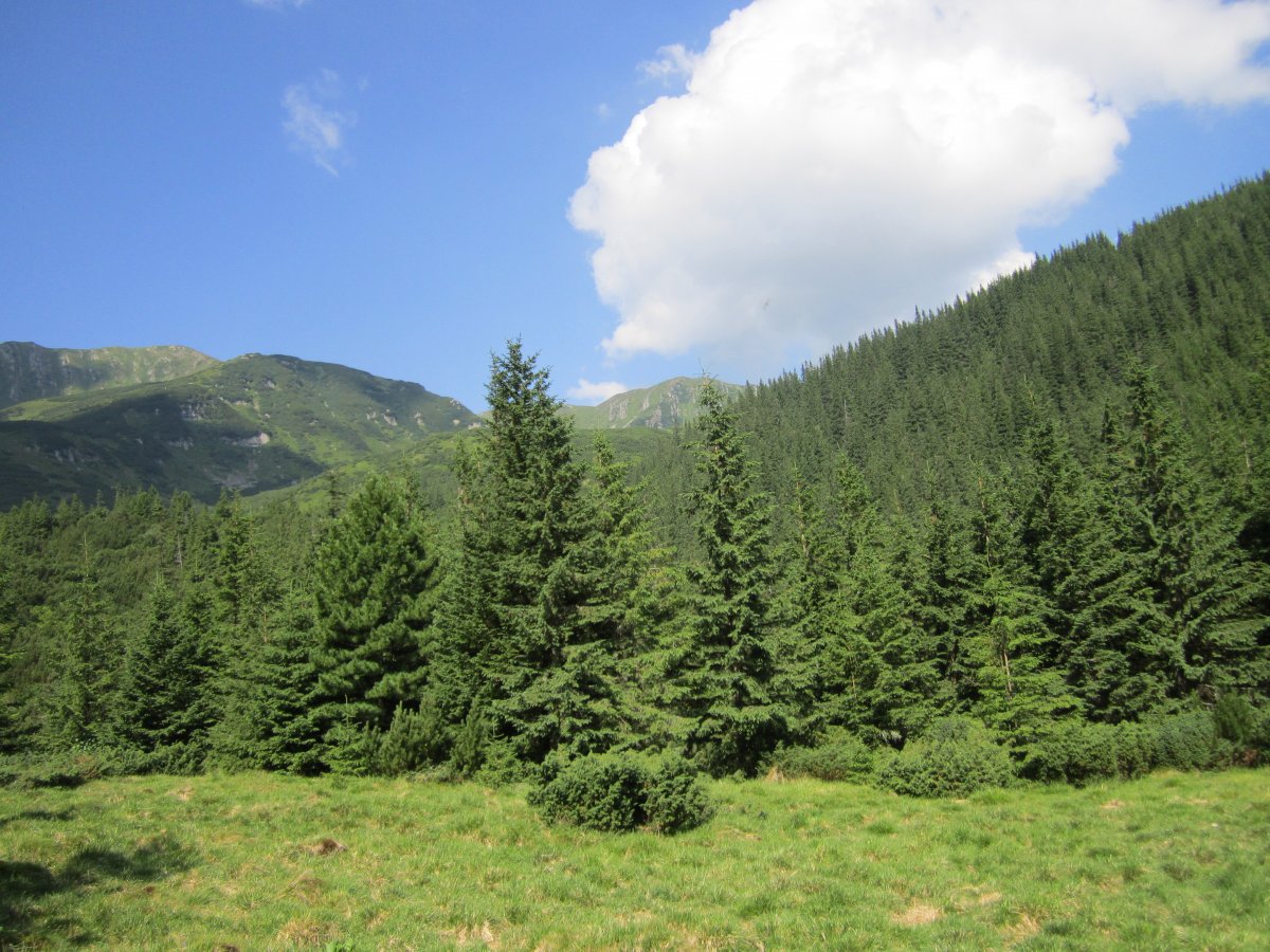 IMG_8433.JPG