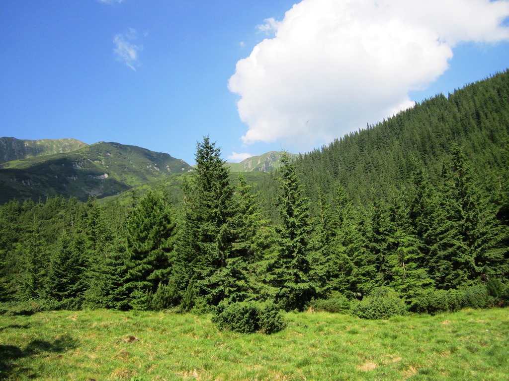 IMG_8433.JPG