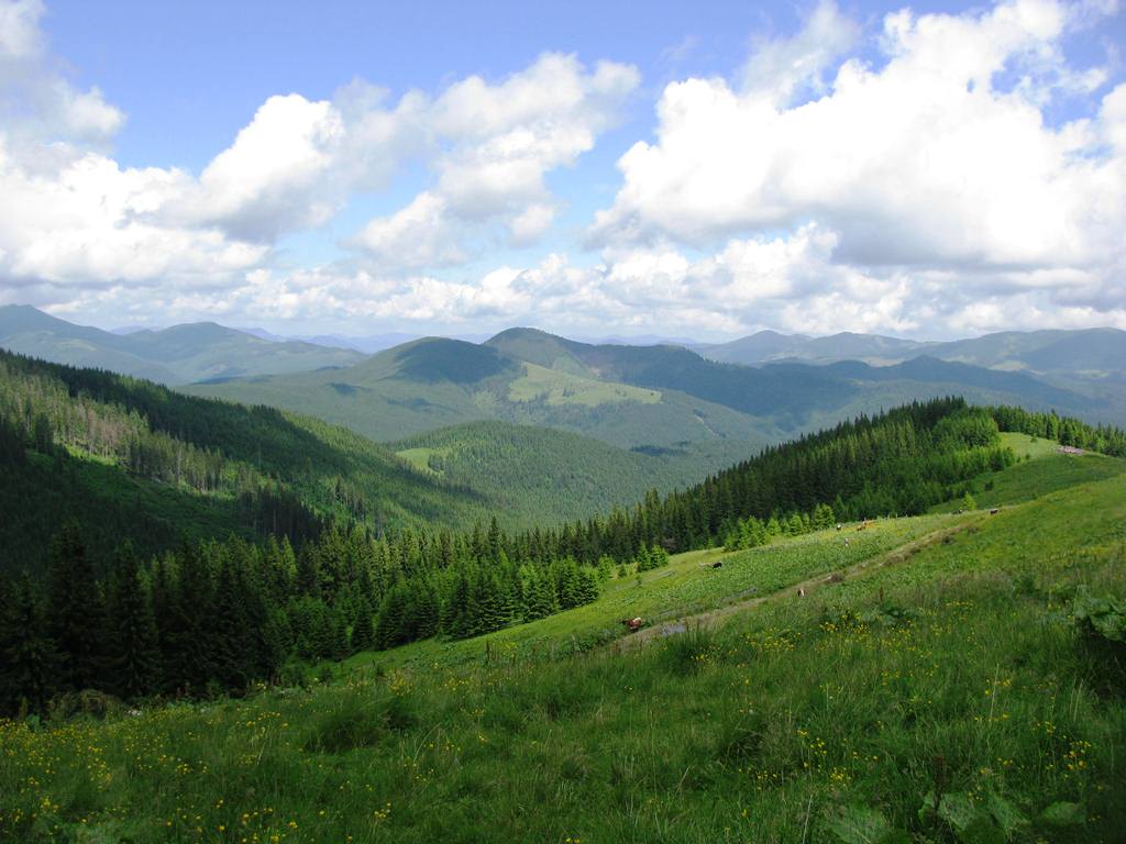 IMG_8434.JPG