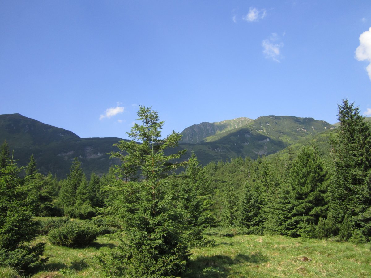 IMG_8434.JPG