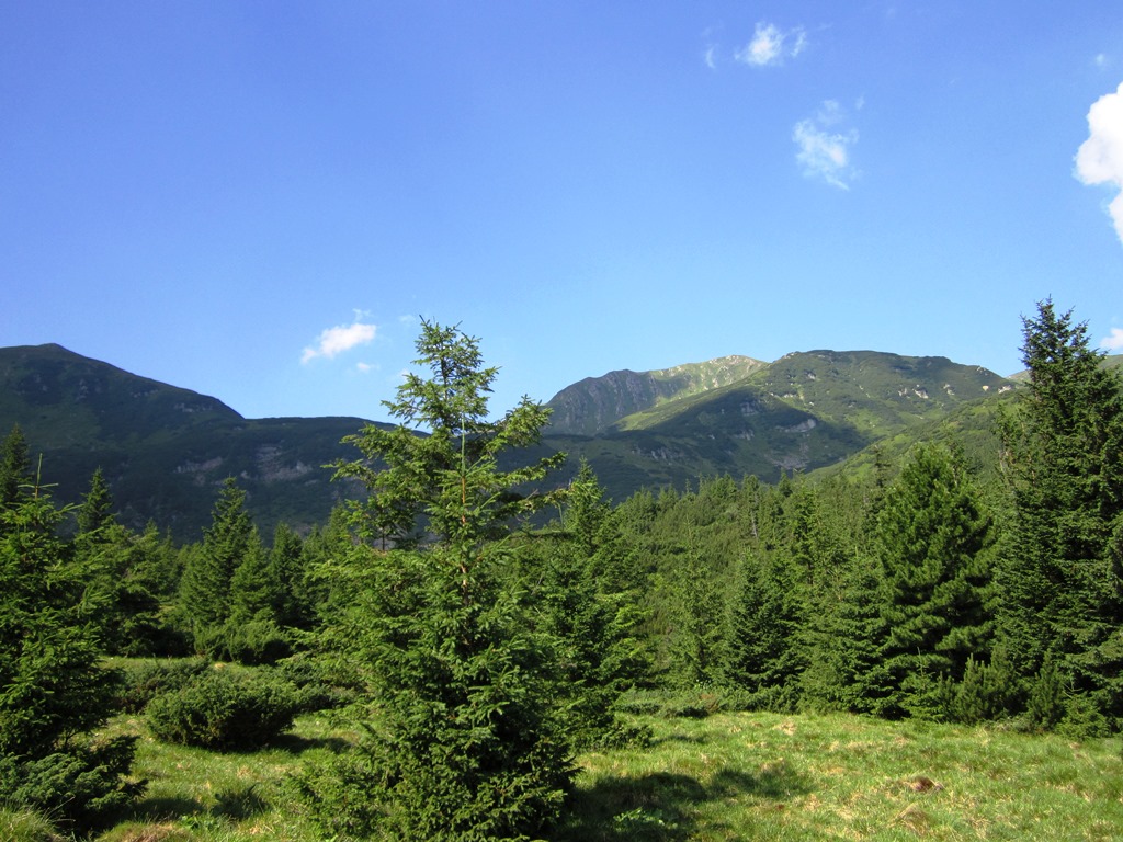 IMG_8434.JPG
