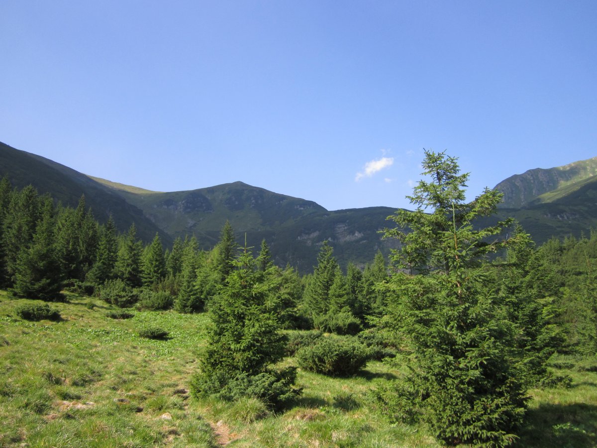 IMG_8435.JPG