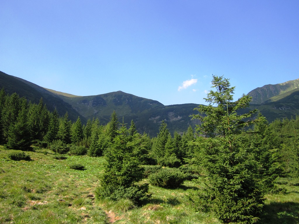 IMG_8435.JPG