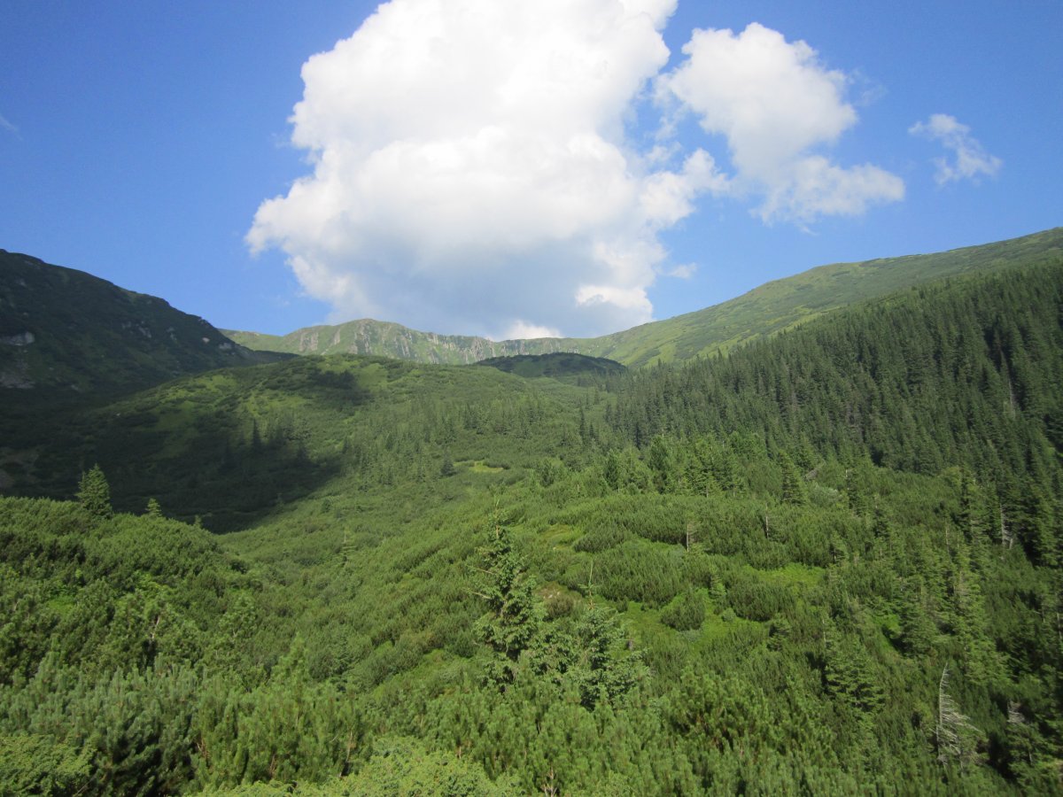 IMG_8436.JPG