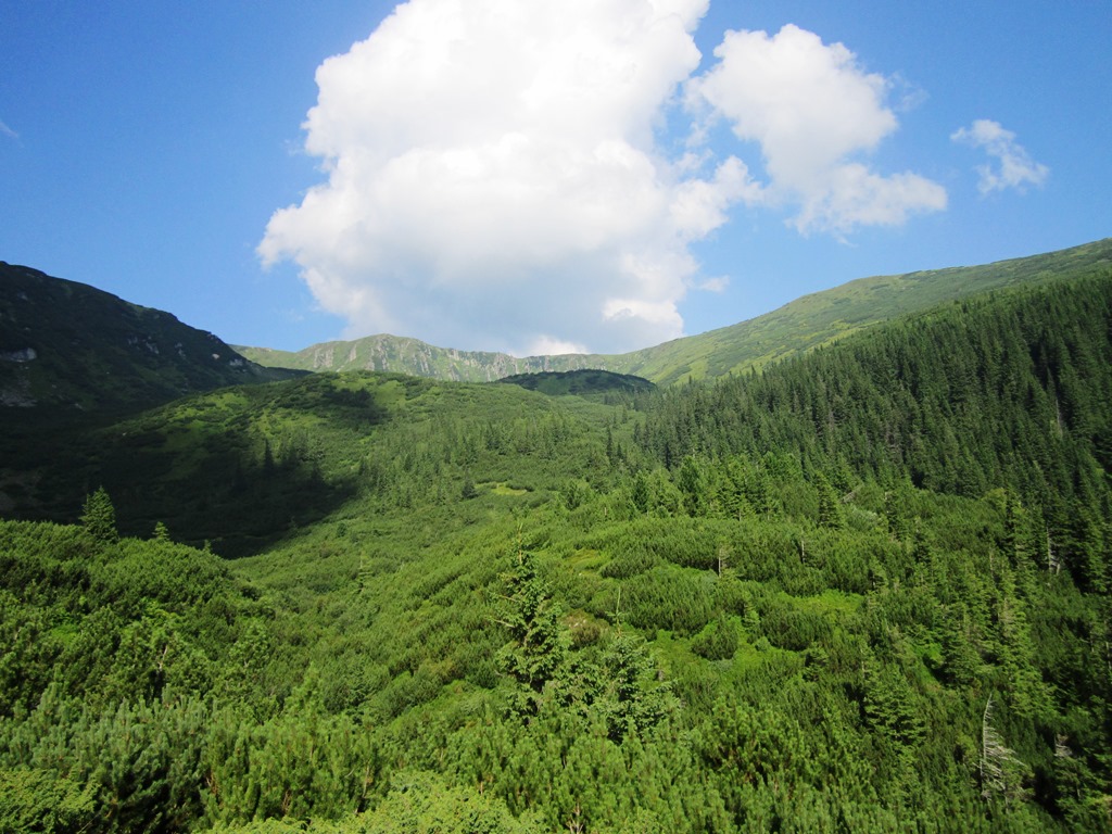 IMG_8436.JPG