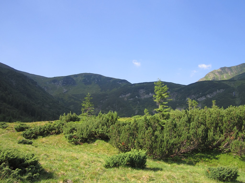 IMG_8438.JPG