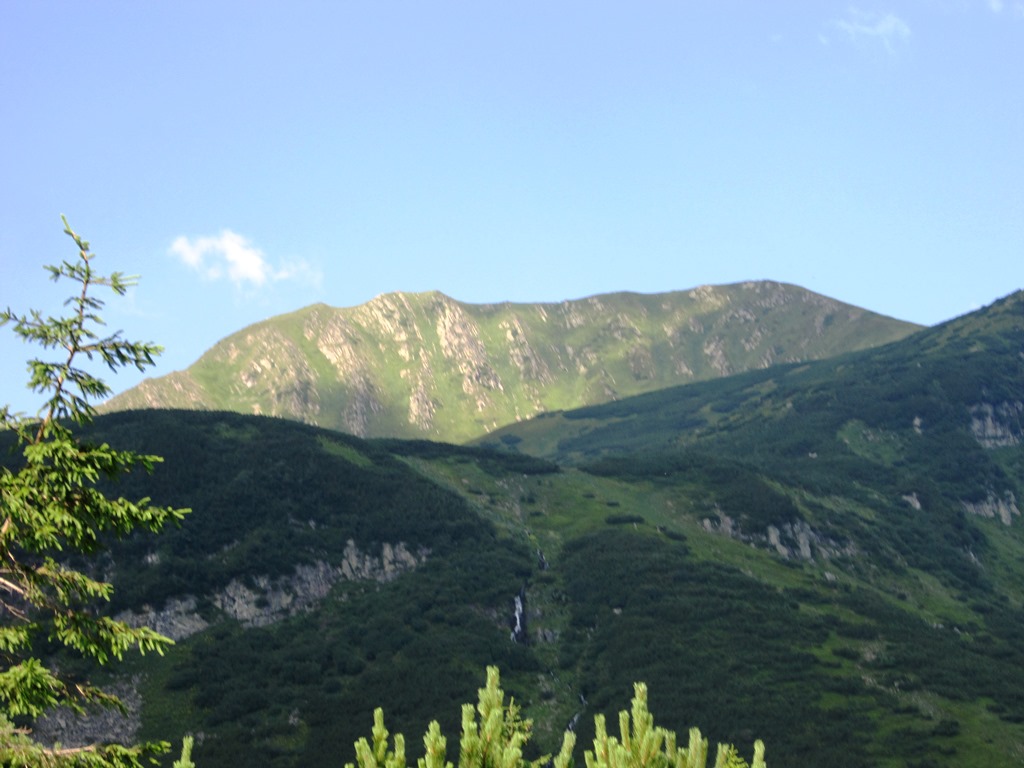 IMG_8439.JPG