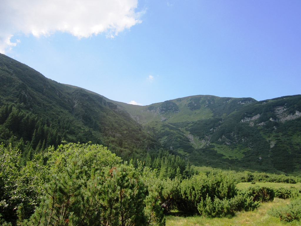 IMG_8443.JPG