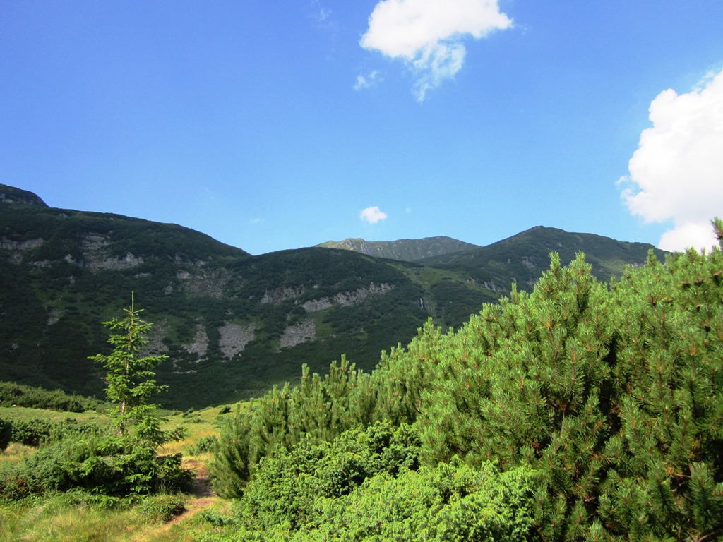 IMG_8445.JPG