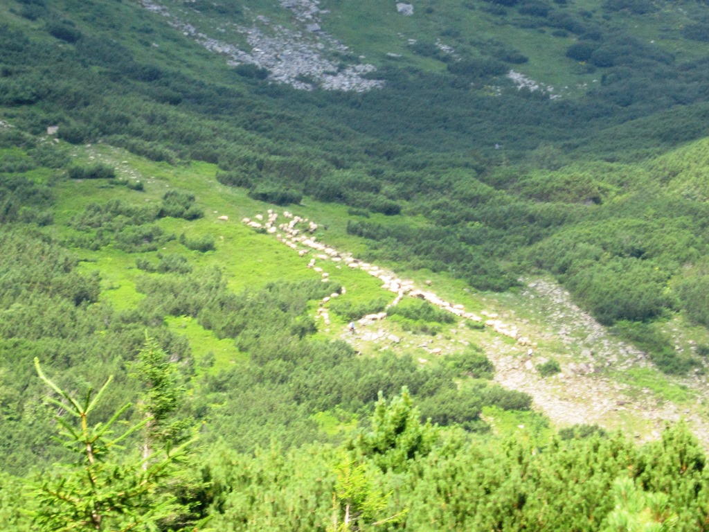 IMG_8446.JPG