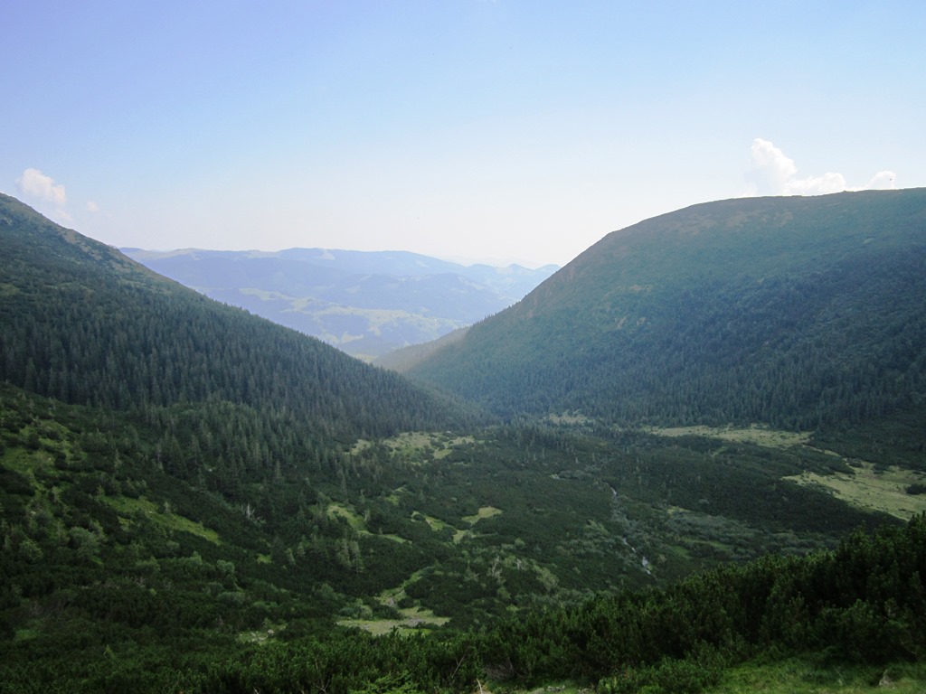 IMG_8448.JPG