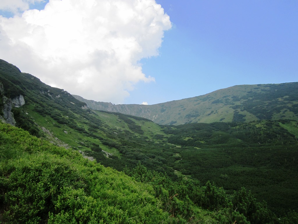 IMG_8450.JPG