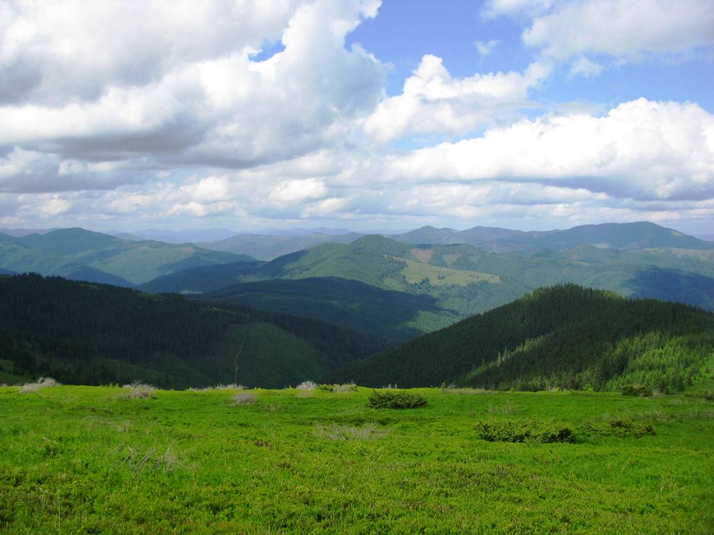 IMG_8455.JPG