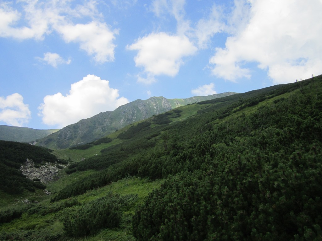 IMG_8455.JPG
