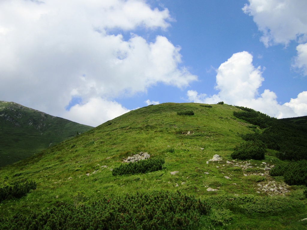 IMG_8458.JPG