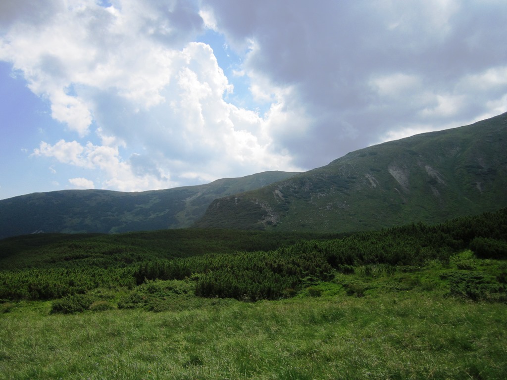 IMG_8459.JPG