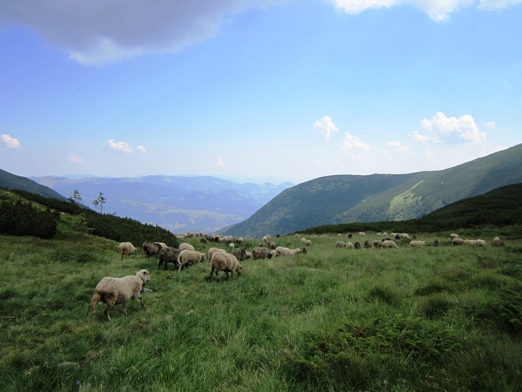 IMG_8474.JPG