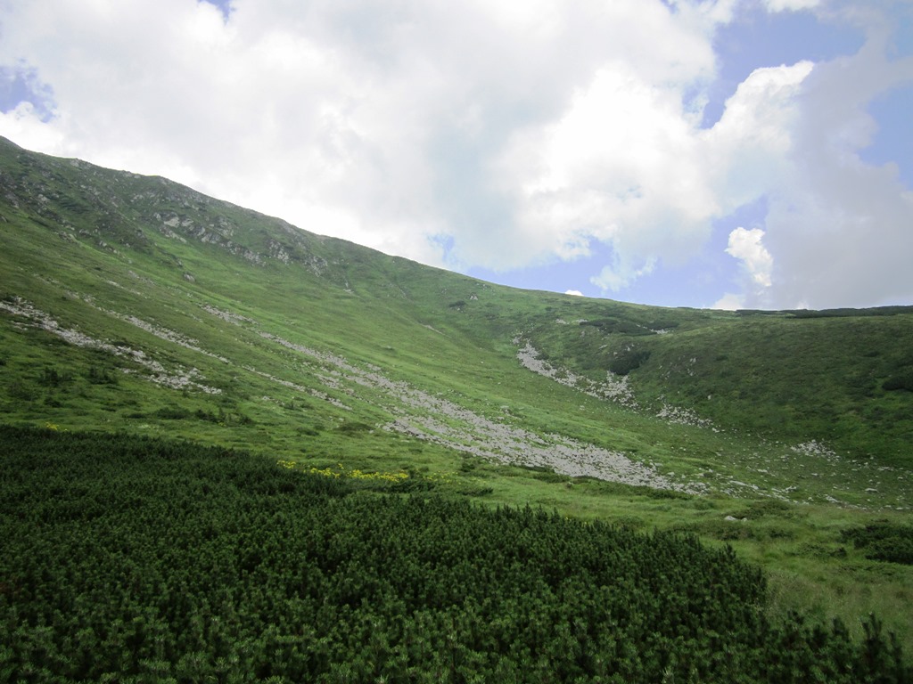 IMG_8478.JPG