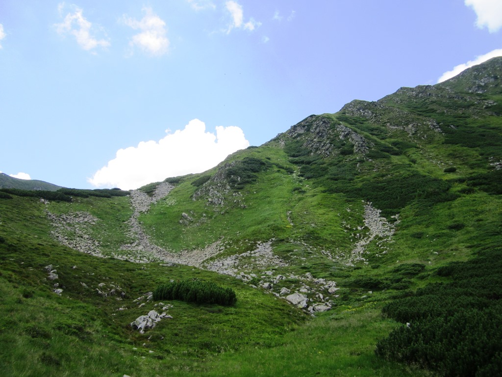 IMG_8482.JPG