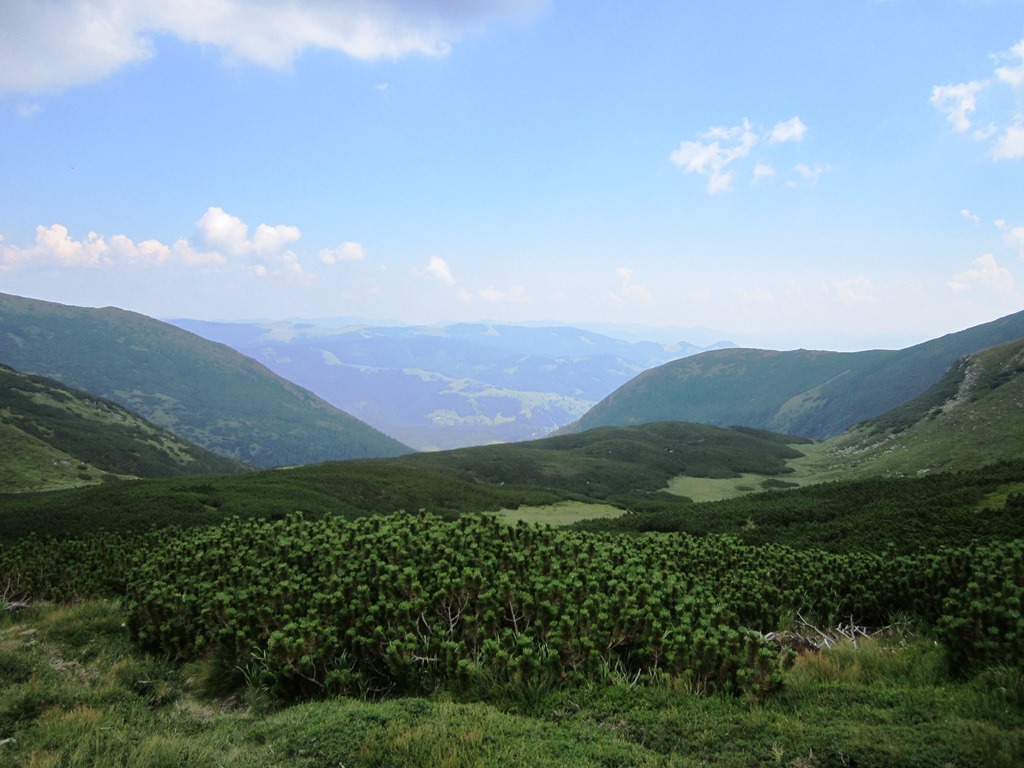 IMG_8483.JPG