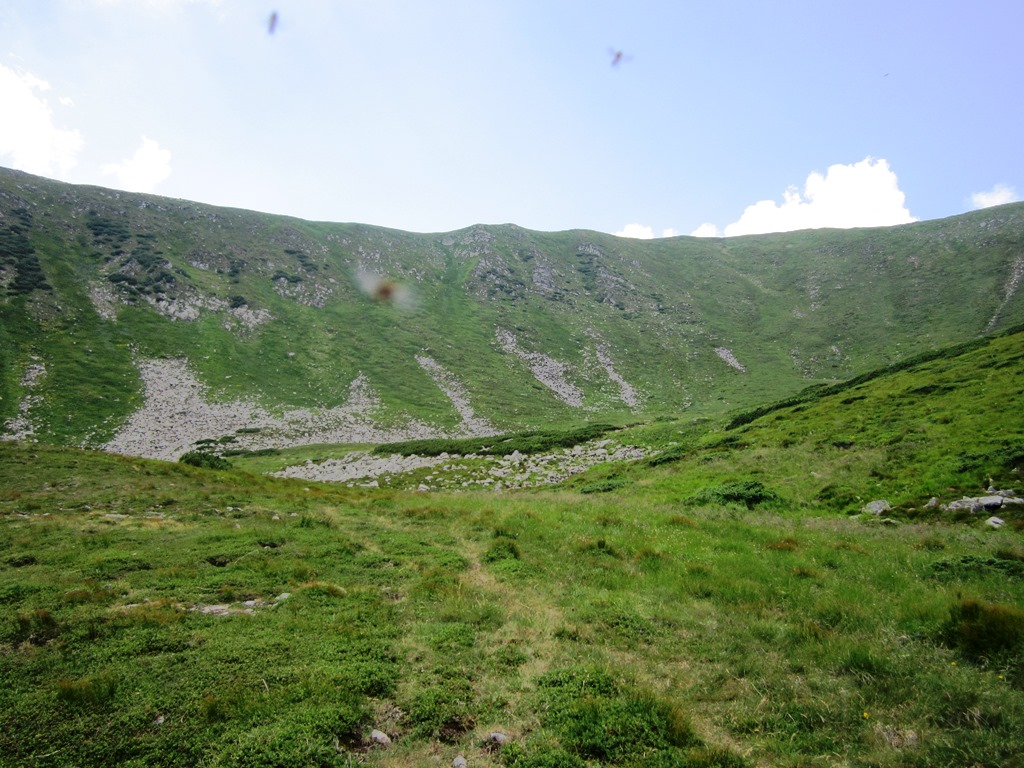 IMG_8486.JPG
