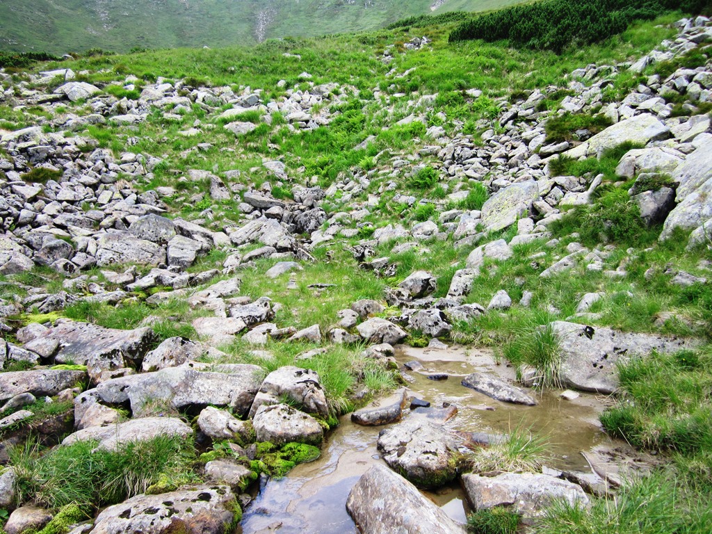 IMG_8488.JPG