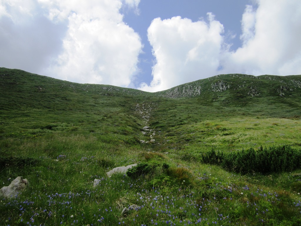 IMG_8491.JPG