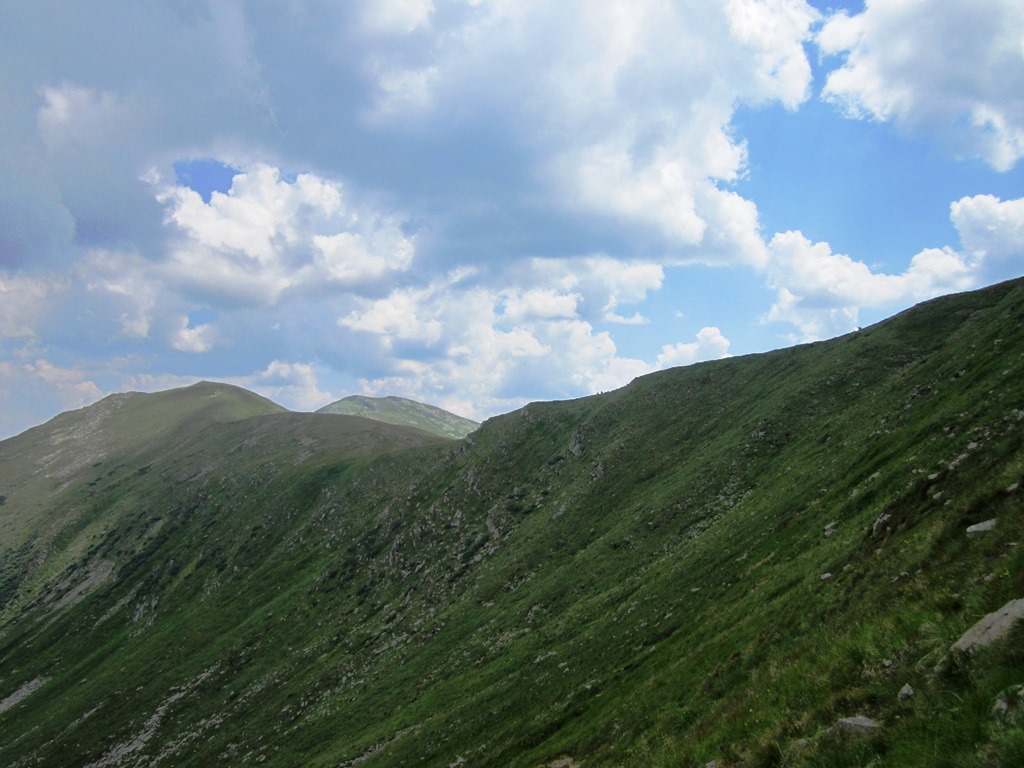 IMG_8495.JPG