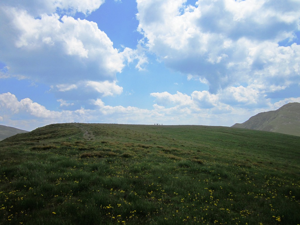 IMG_8498.JPG