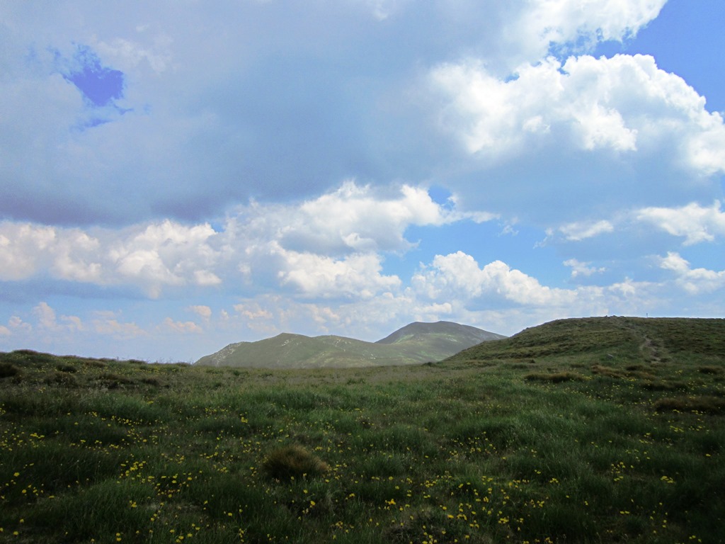 IMG_8499.JPG
