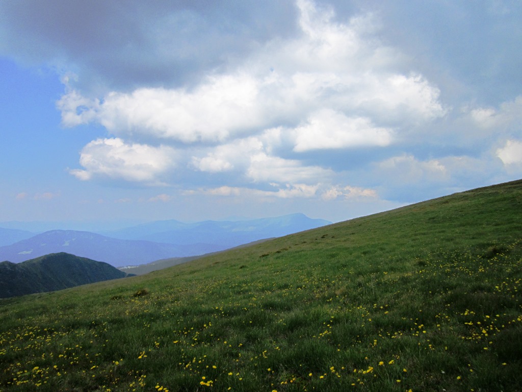 IMG_8501.JPG