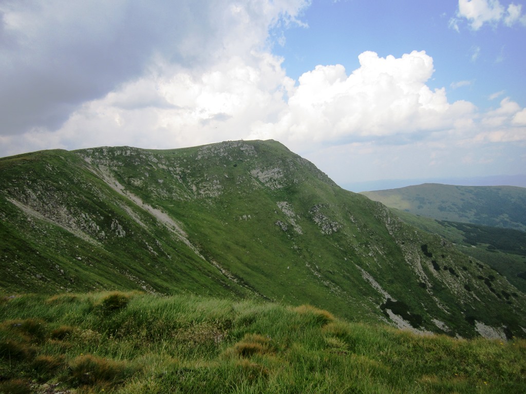 IMG_8510.JPG