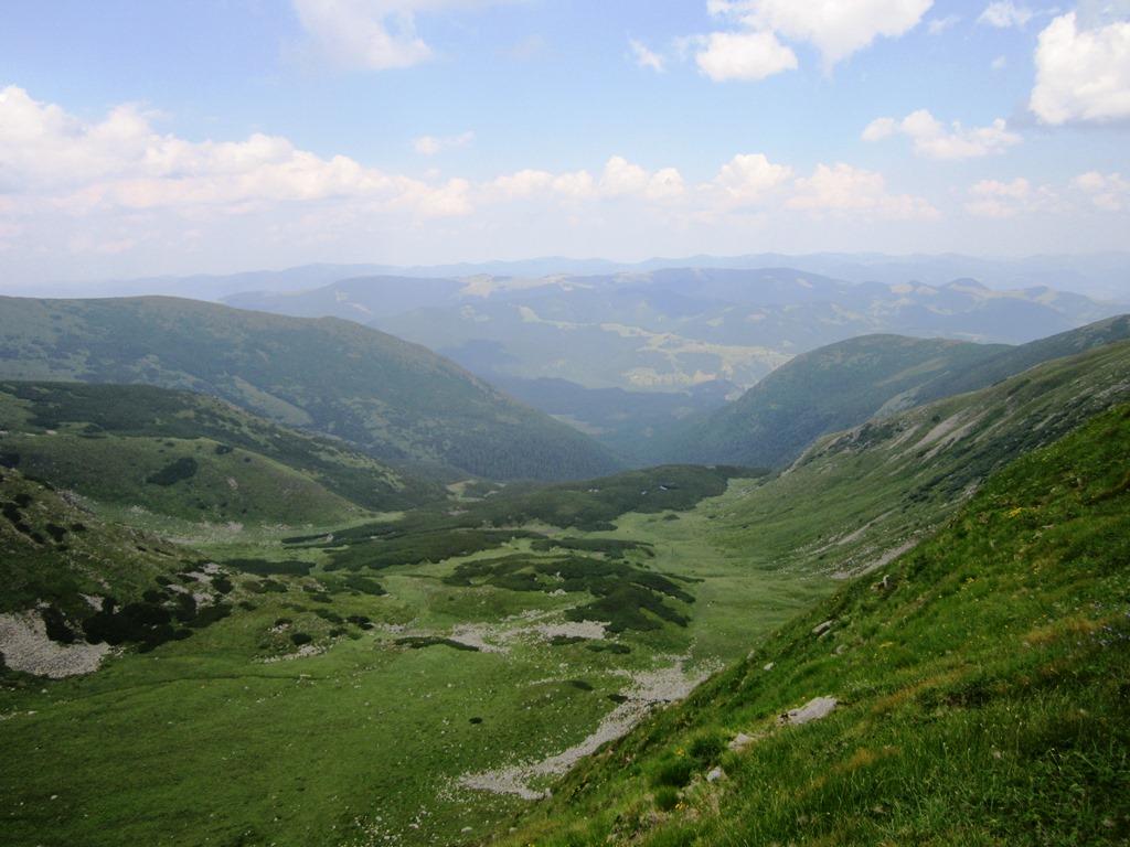 IMG_8512.JPG