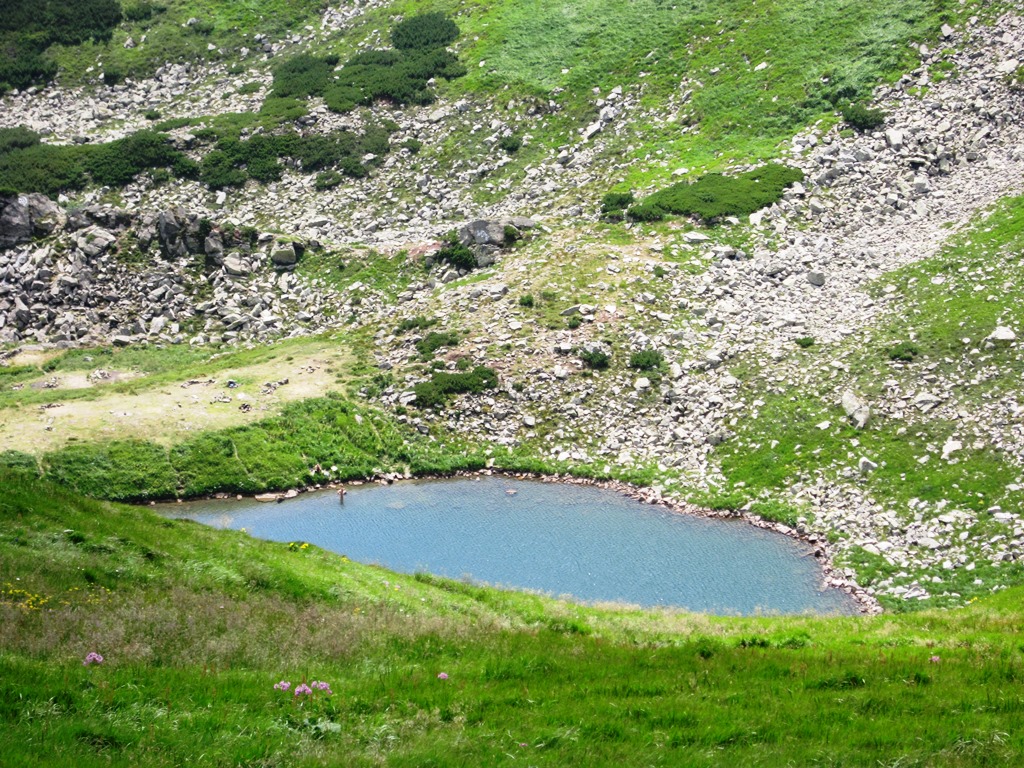 IMG_8515.JPG