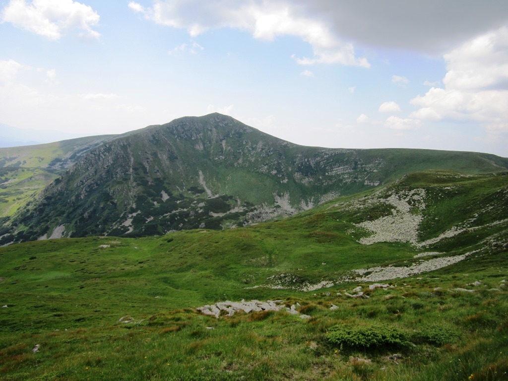 IMG_8522.JPG