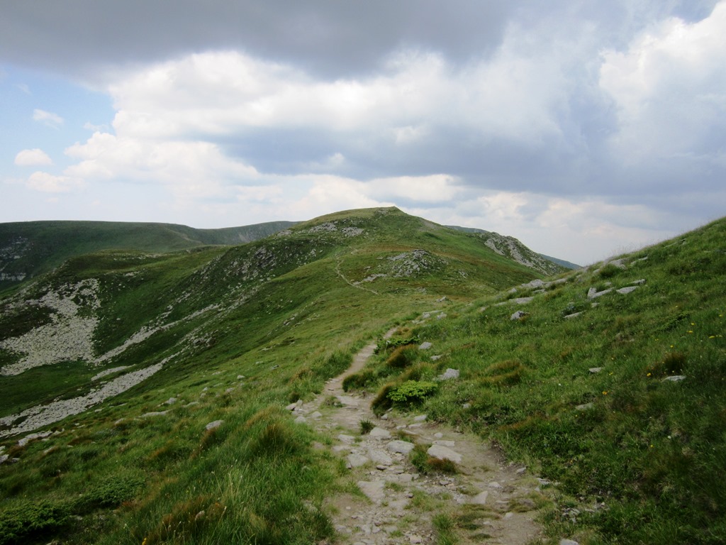 IMG_8523.JPG