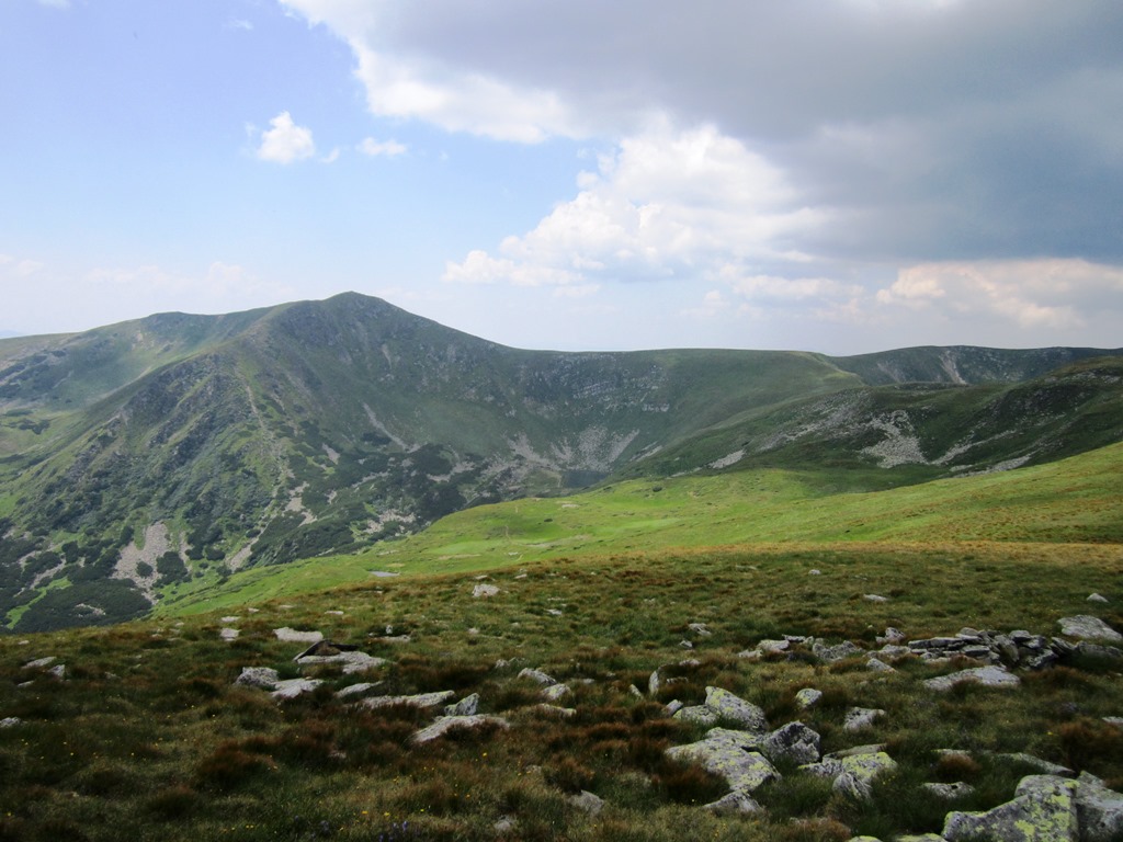 IMG_8525.JPG