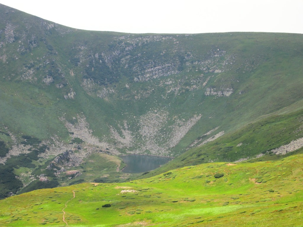 IMG_8526.JPG