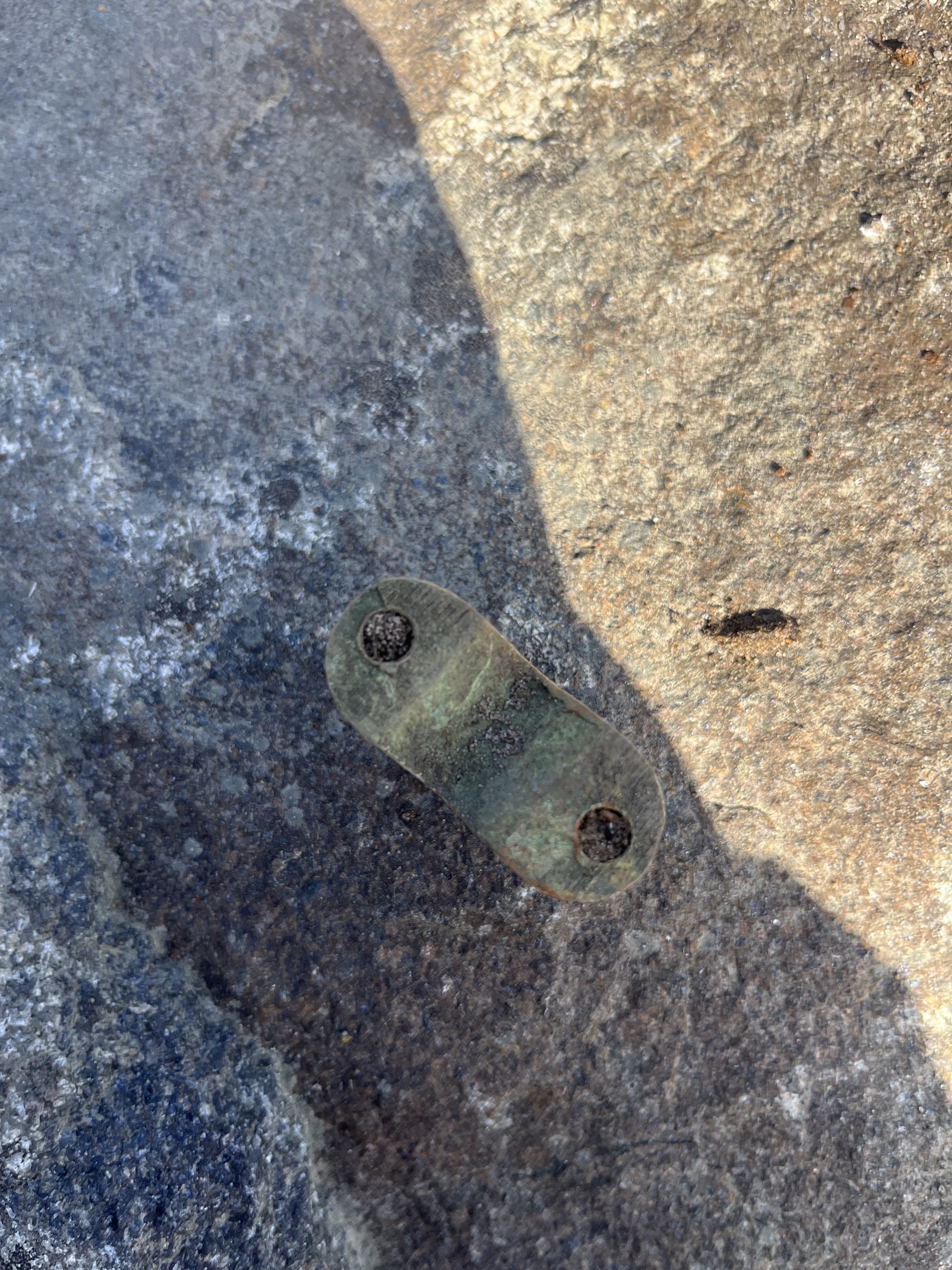 IMG_8529.jpeg