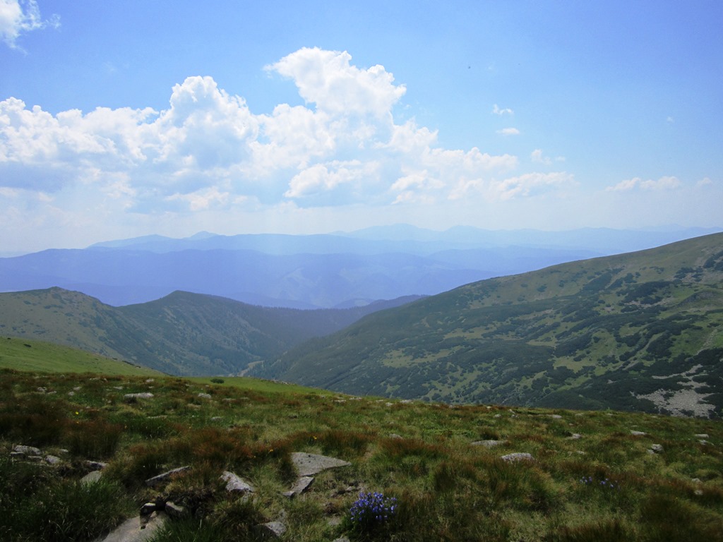 IMG_8530.JPG