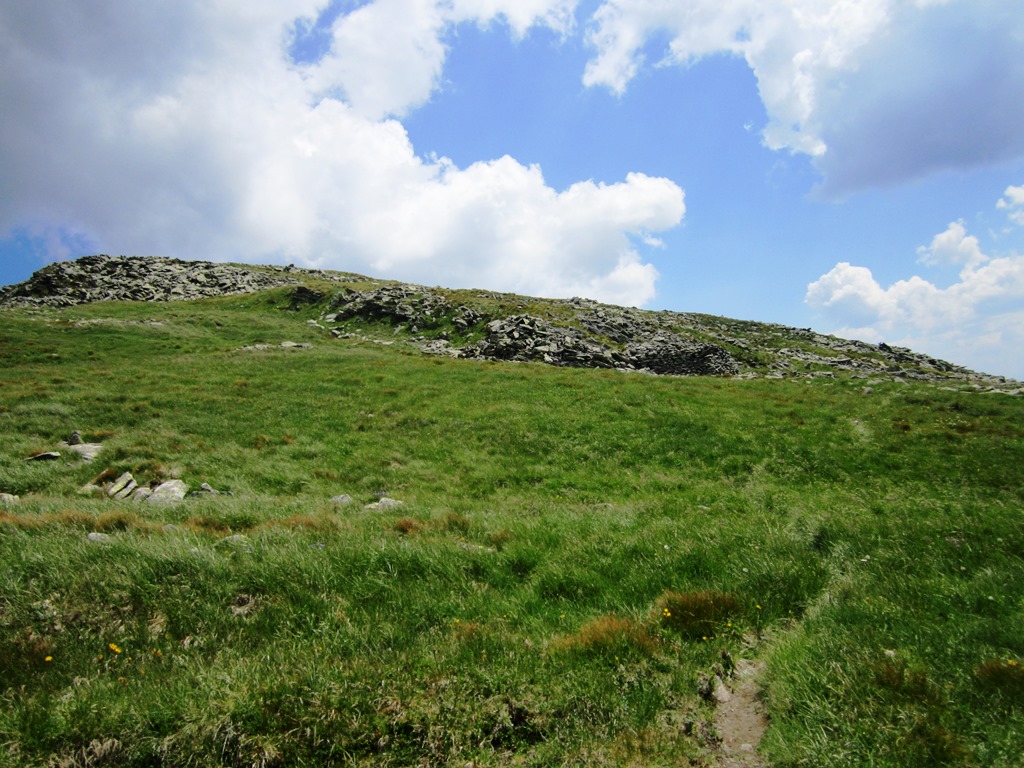IMG_8531.JPG