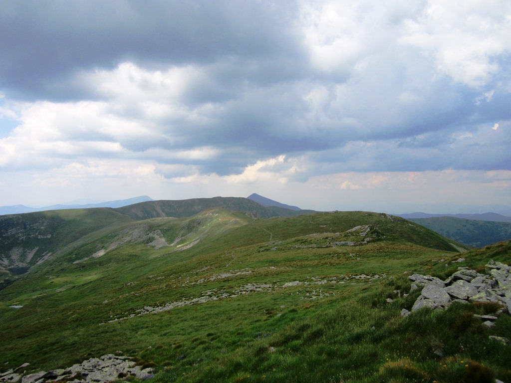 IMG_8536.JPG