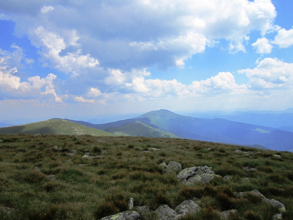 IMG_8538.JPG