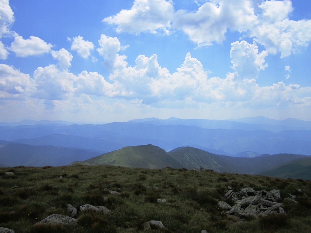 IMG_8539.JPG