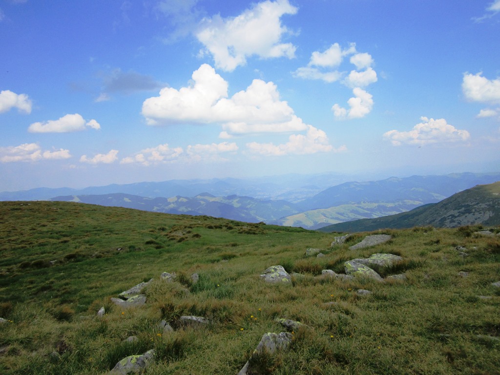 IMG_8545.JPG