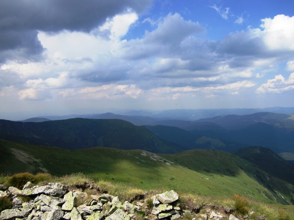 IMG_8564.JPG