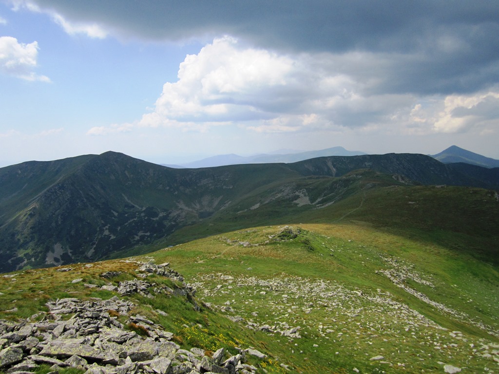 IMG_8567.JPG