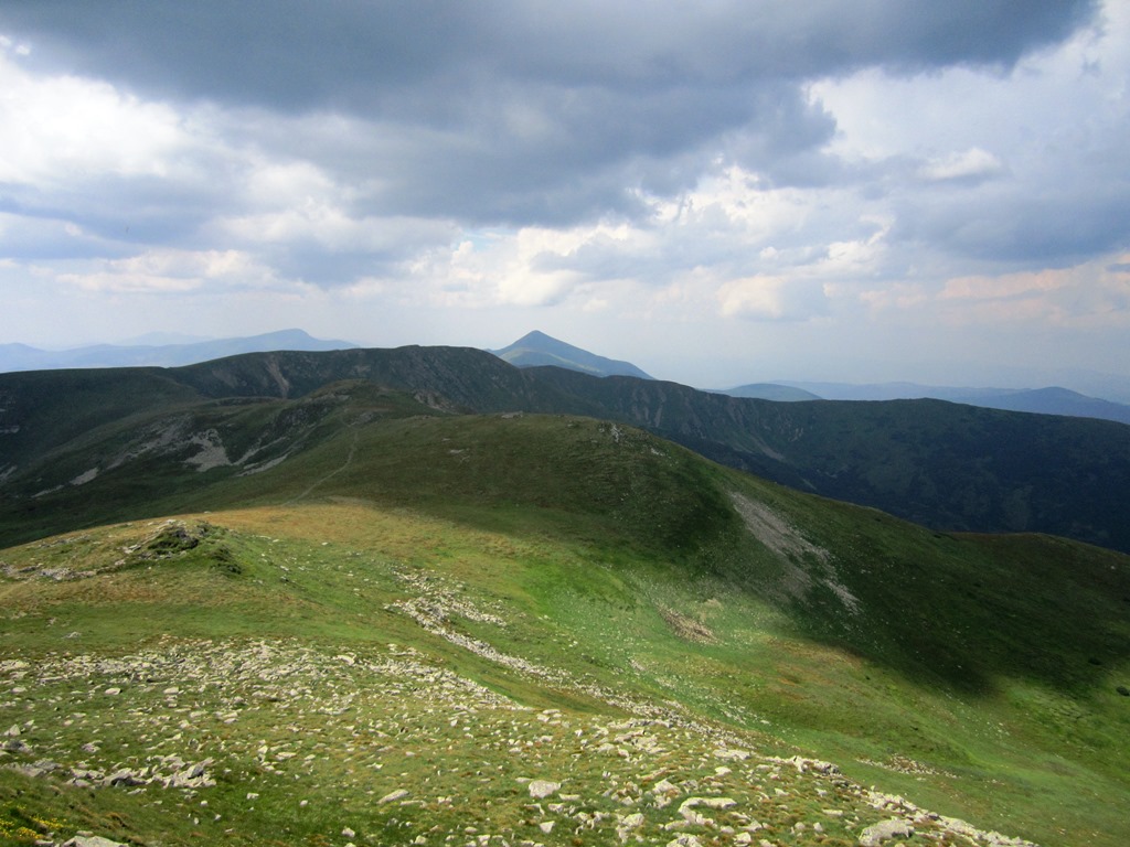 IMG_8568.JPG