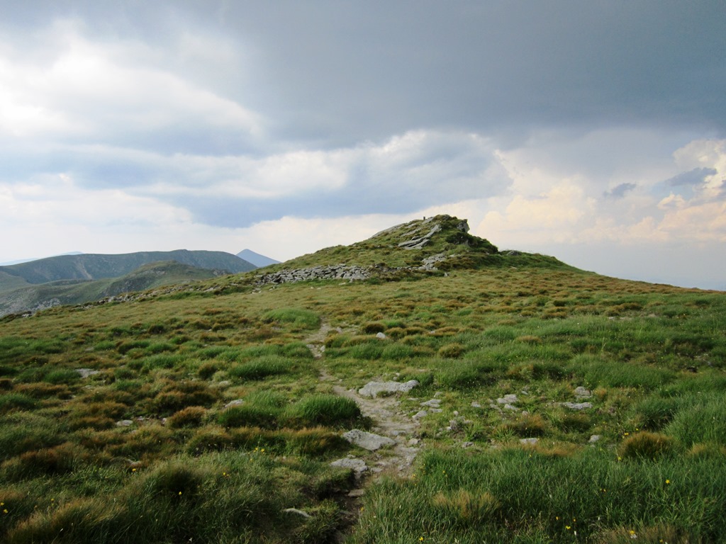 IMG_8569.JPG
